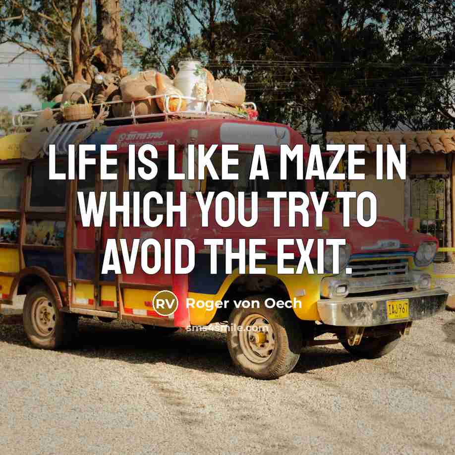 “Life is like a maze in which you try to…” quote by Roger von Oech