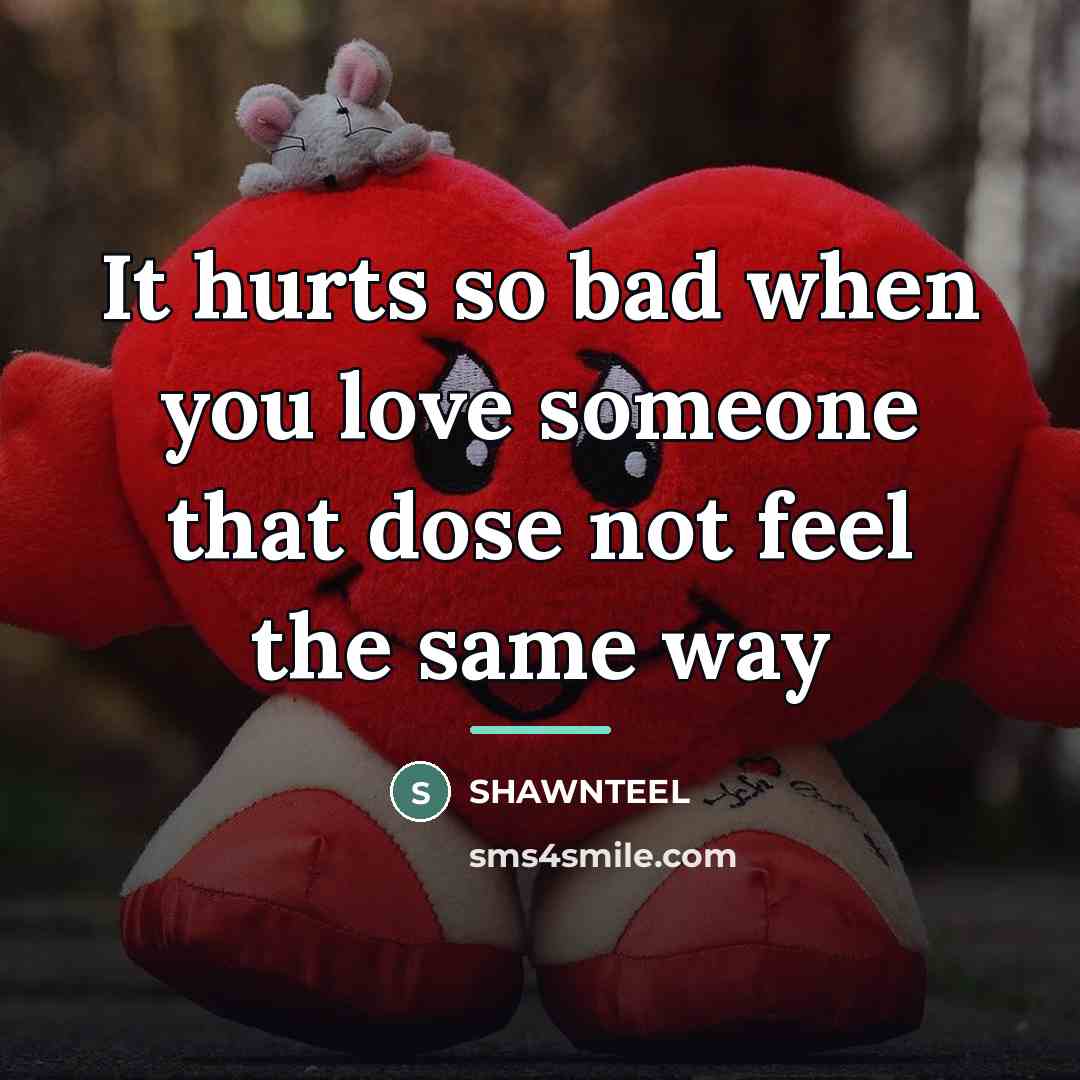 “It hurts so bad when you love someone that dose…” quote by Shawnteel
