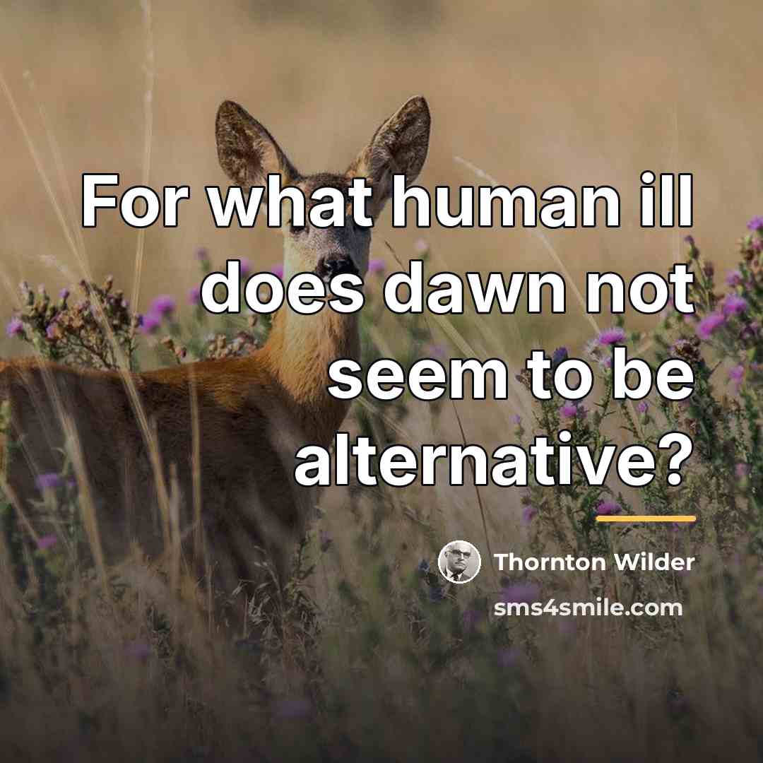 “For what human ill does dawn not seem to be…” quote by Thornton Wilder
