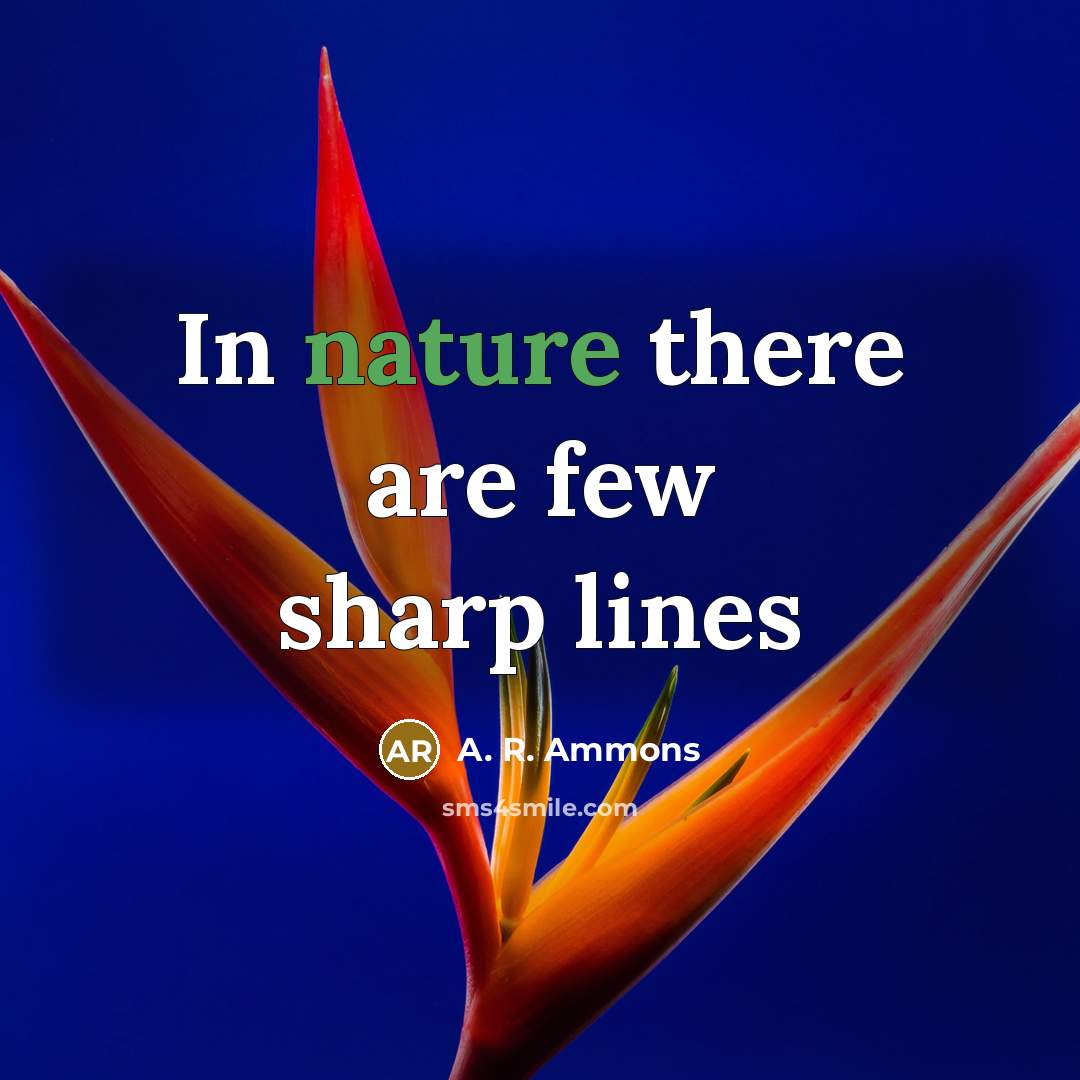 “In nature there are few sharp lines…” quote by A. R. Ammons