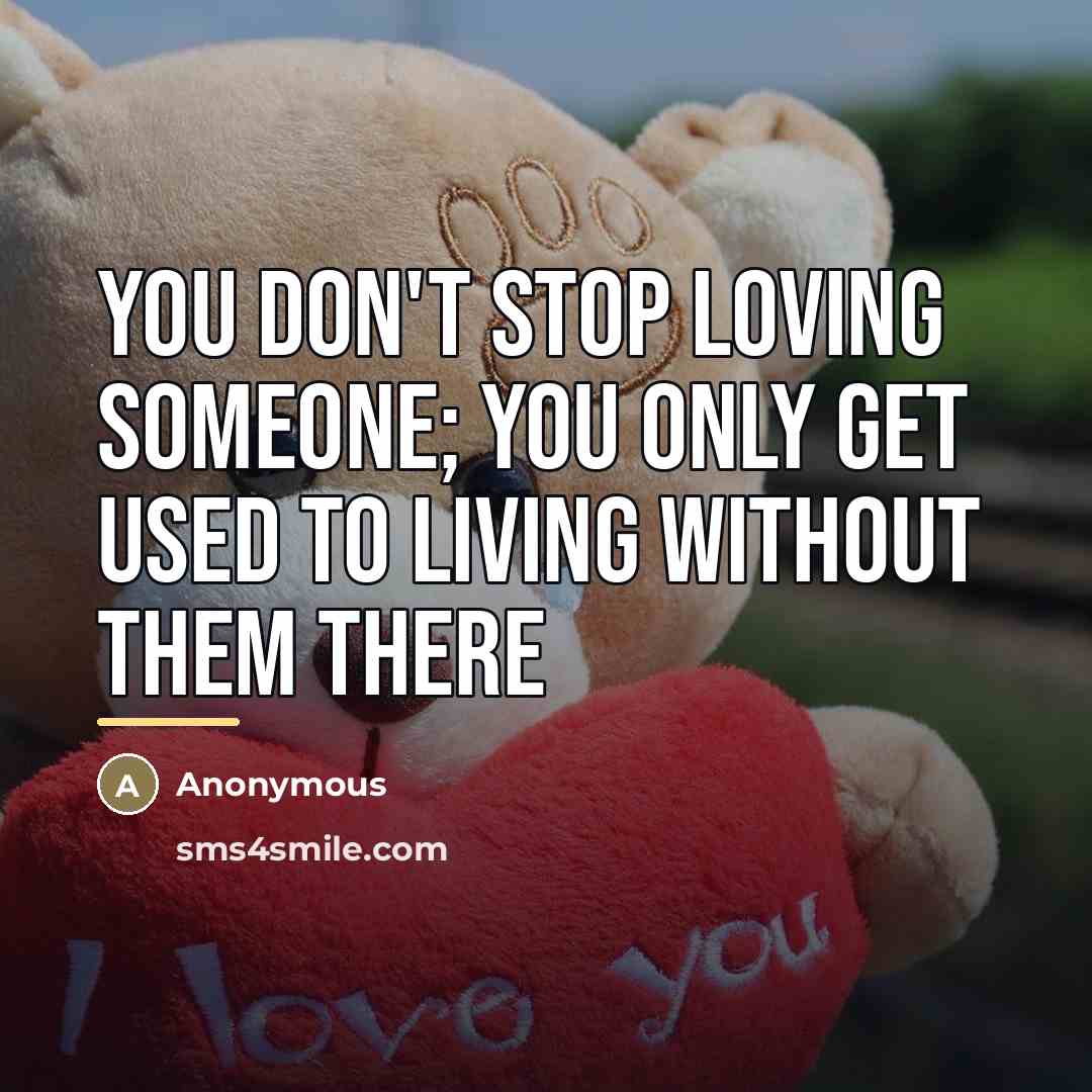 “You don't stop loving someone; you only get used to…” quote by Anonymous