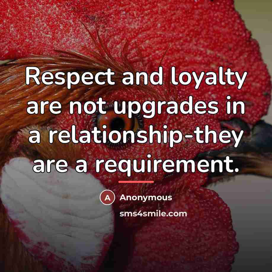 “Respect and loyalty are not upgrades in a relationship-they are…” quote by Anonymous