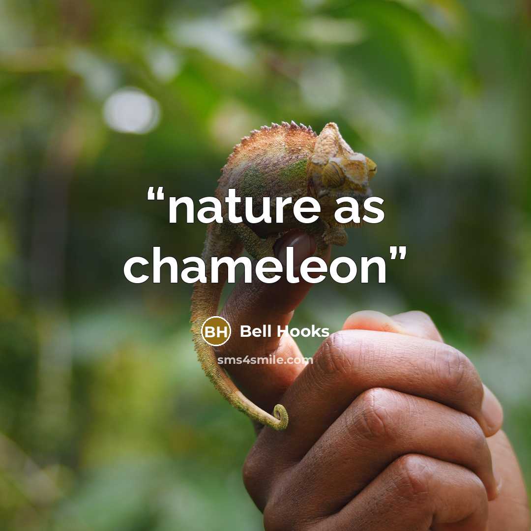 “nature as chameleon” quote by bell hooks
