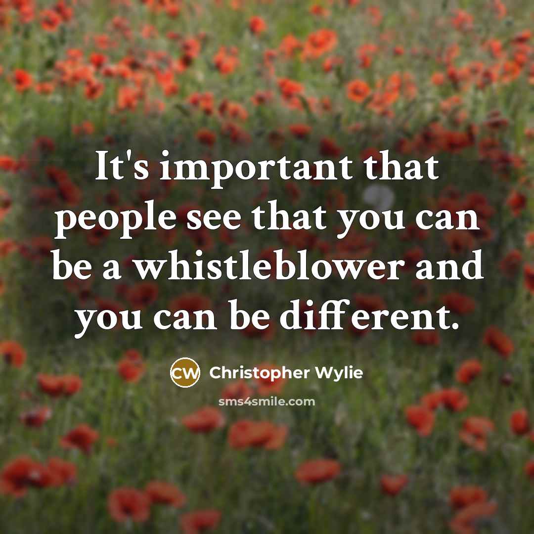 “It's important that people see that you can be a…” quote by Christopher Wylie