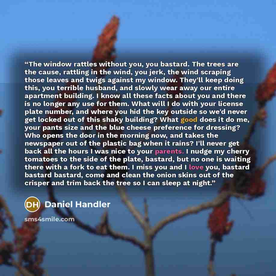 “The window rattles without you, you bastard. The trees are the cause, rattling in the wind, you jerk, the wind scraping those leaves and twigs against my window. They'll keep doing this, you terrible husband, and slowly wear away our entire apartment building. I know all these facts about you and…” quote by Daniel Handler