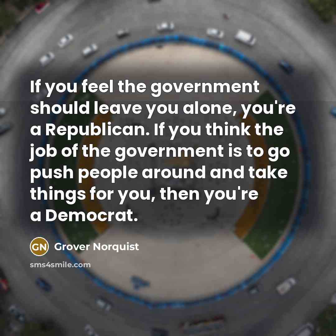 “If you feel the government should leave you alone, you're…” quote by Grover Norquist