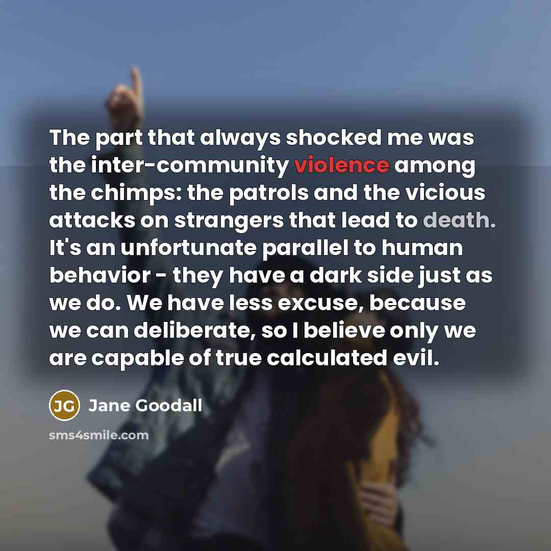 “The part that always shocked me was the inter-community violence…” quote by Jane Goodall