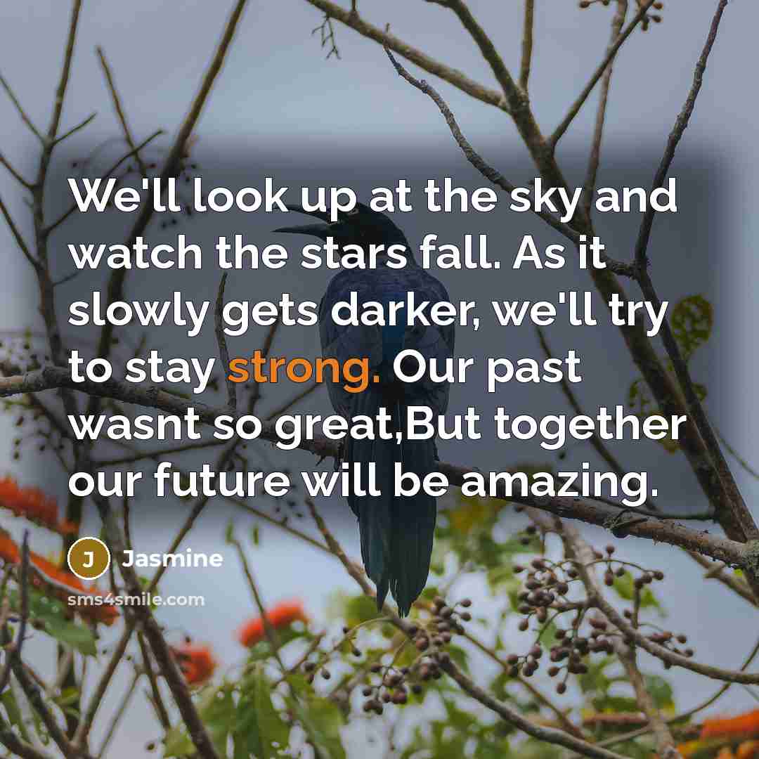 “We'll look up at the sky and watch the stars…” quote by Jasmine