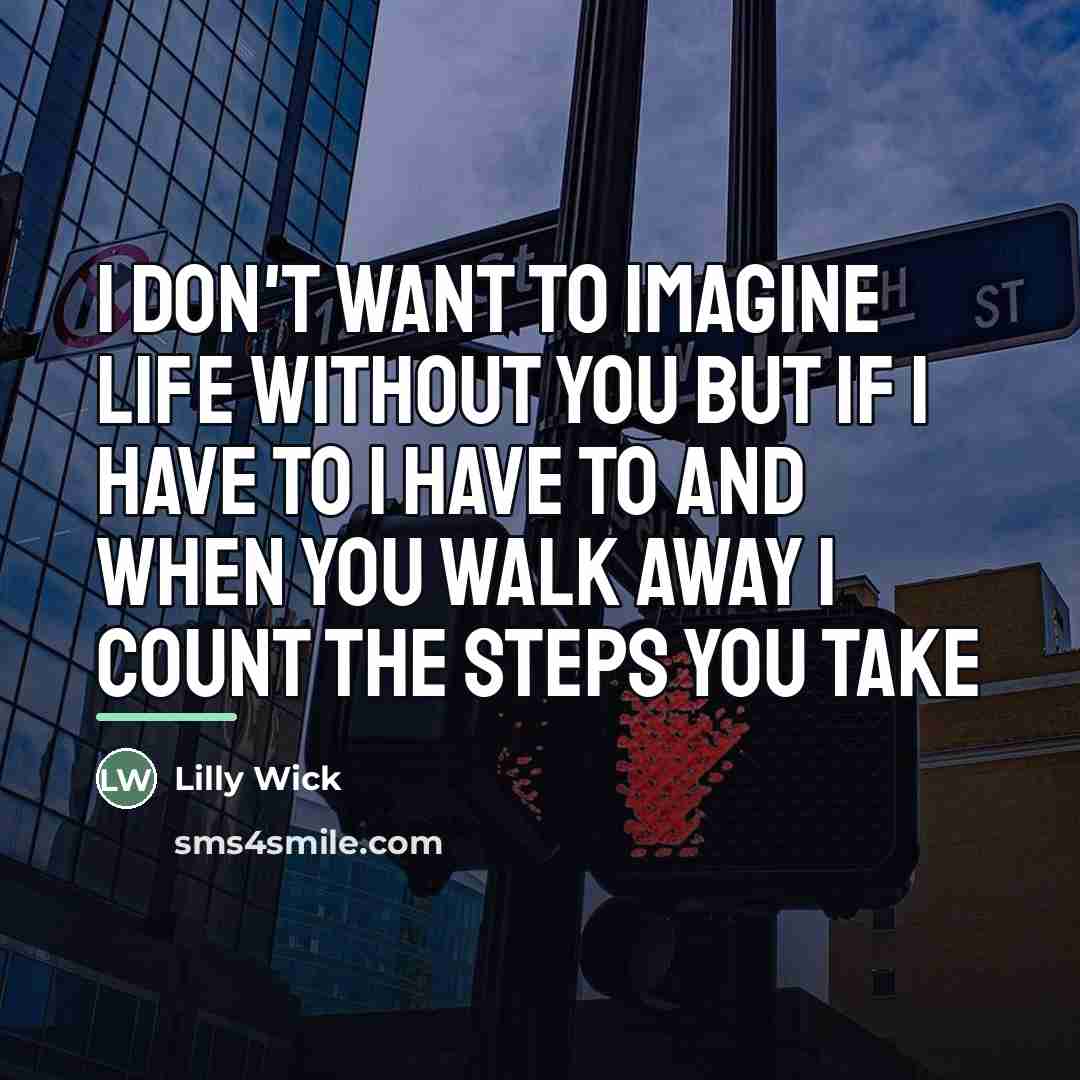 “I don't want to imagine life without you but if…” quote by Lilly Wick