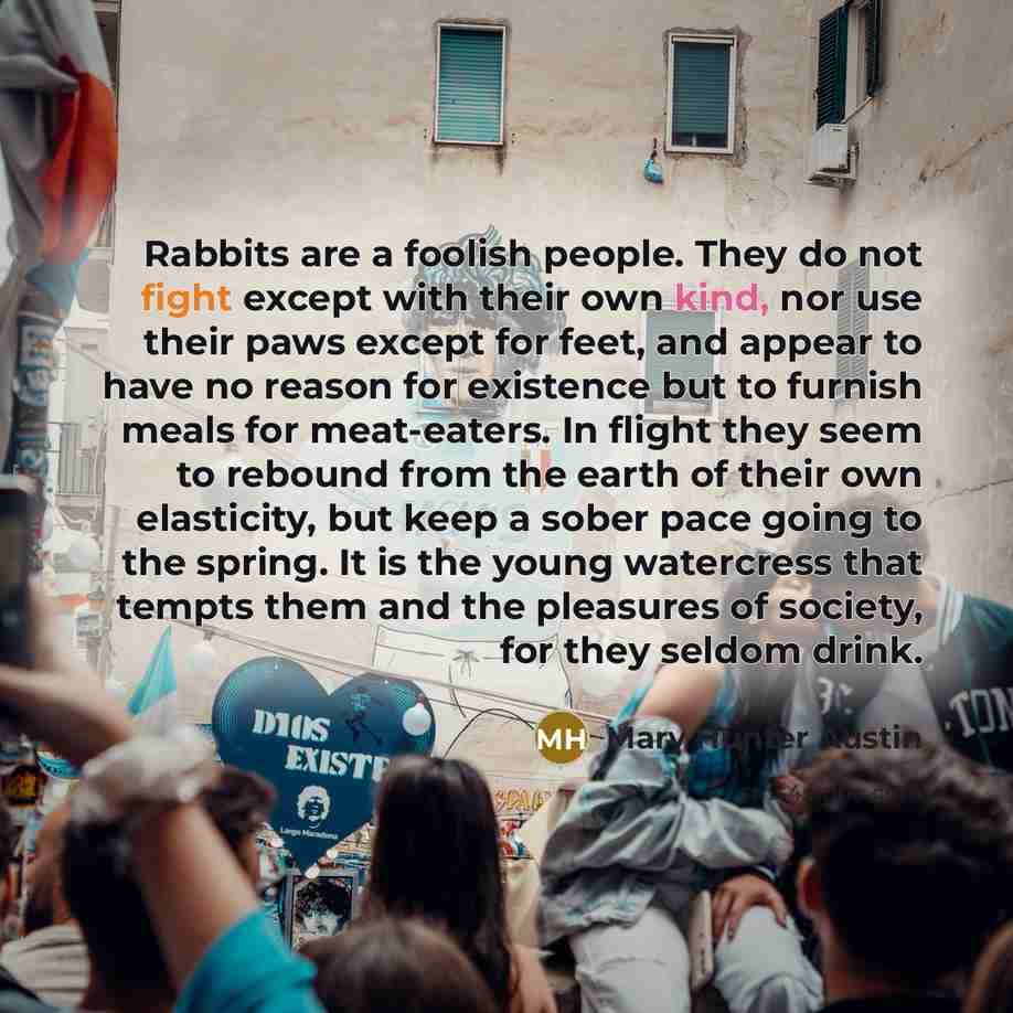 “Rabbits are a foolish people. They do not fight except…” quote by Mary Hunter Austin