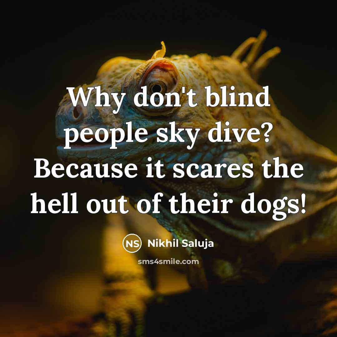 “Why don't blind people sky dive? Because it scares the hell out of their dogs!” quote by Nikhil Saluja