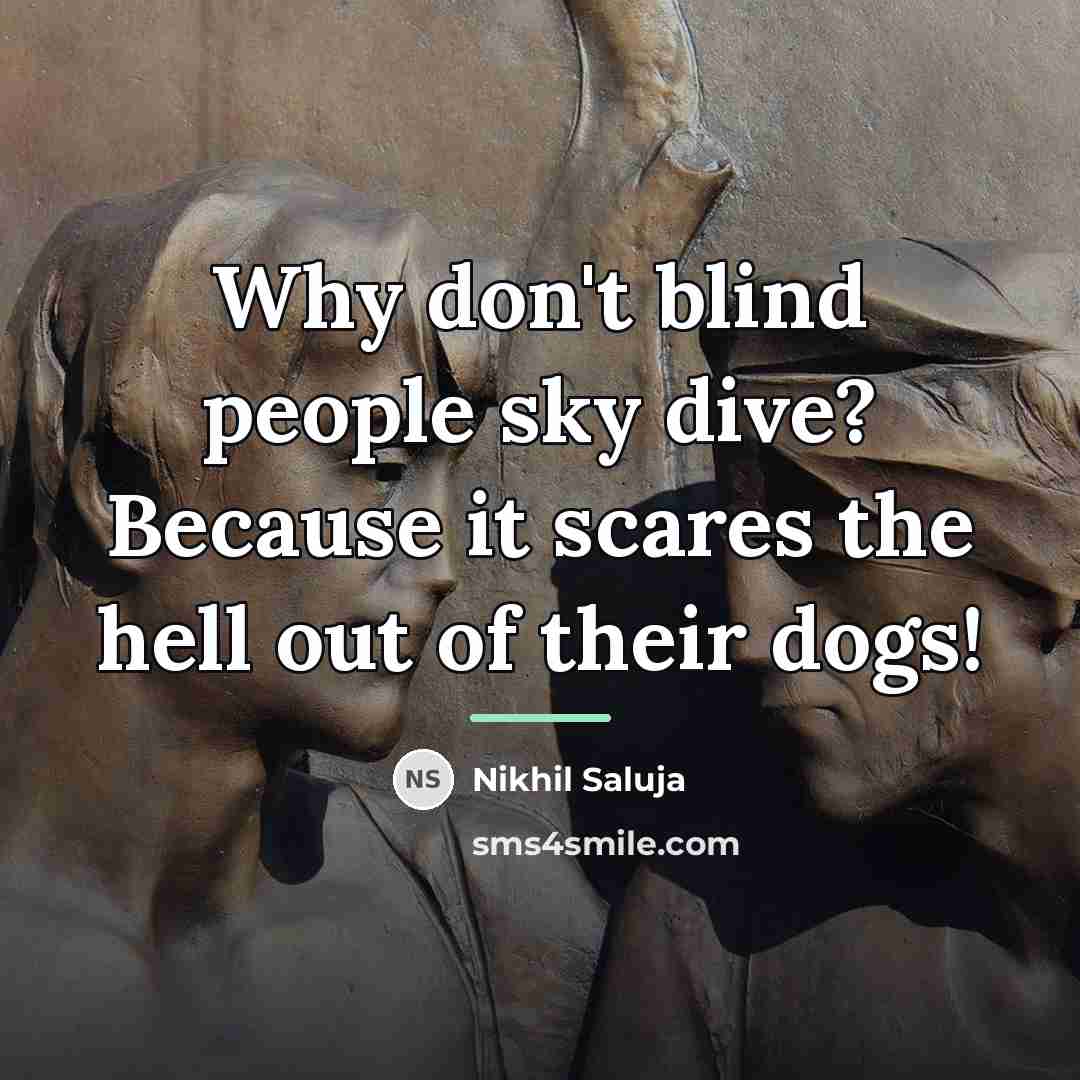 “Why don't blind people sky dive? Because it scares the…” quote by Nikhil Saluja