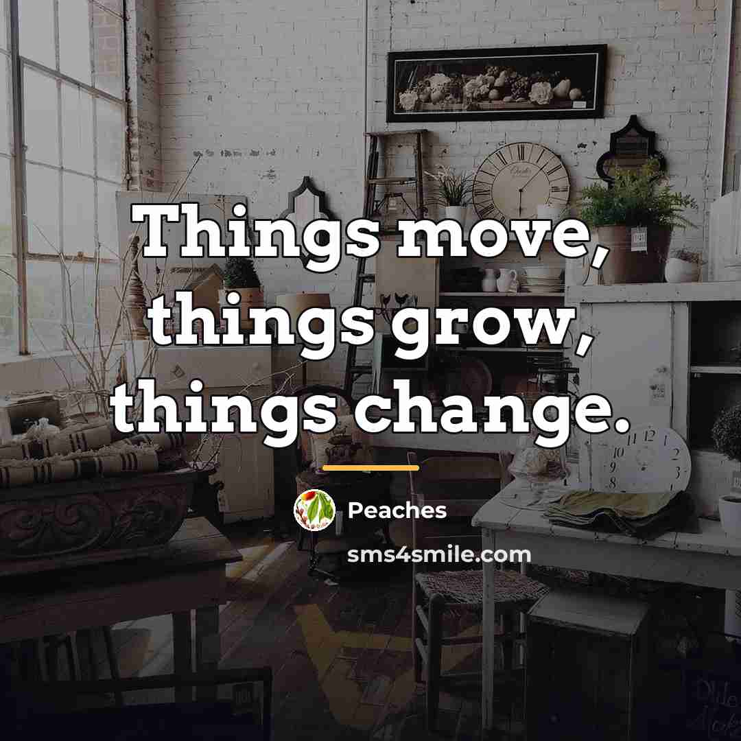 “Things move, things grow, things change.…” quote by Peaches