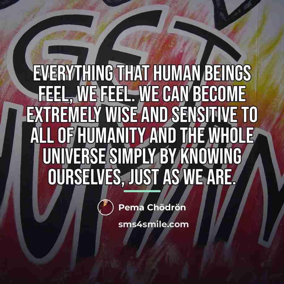 “Everything that human beings feel, we feel. We can become…” quote by Pema Chodron
