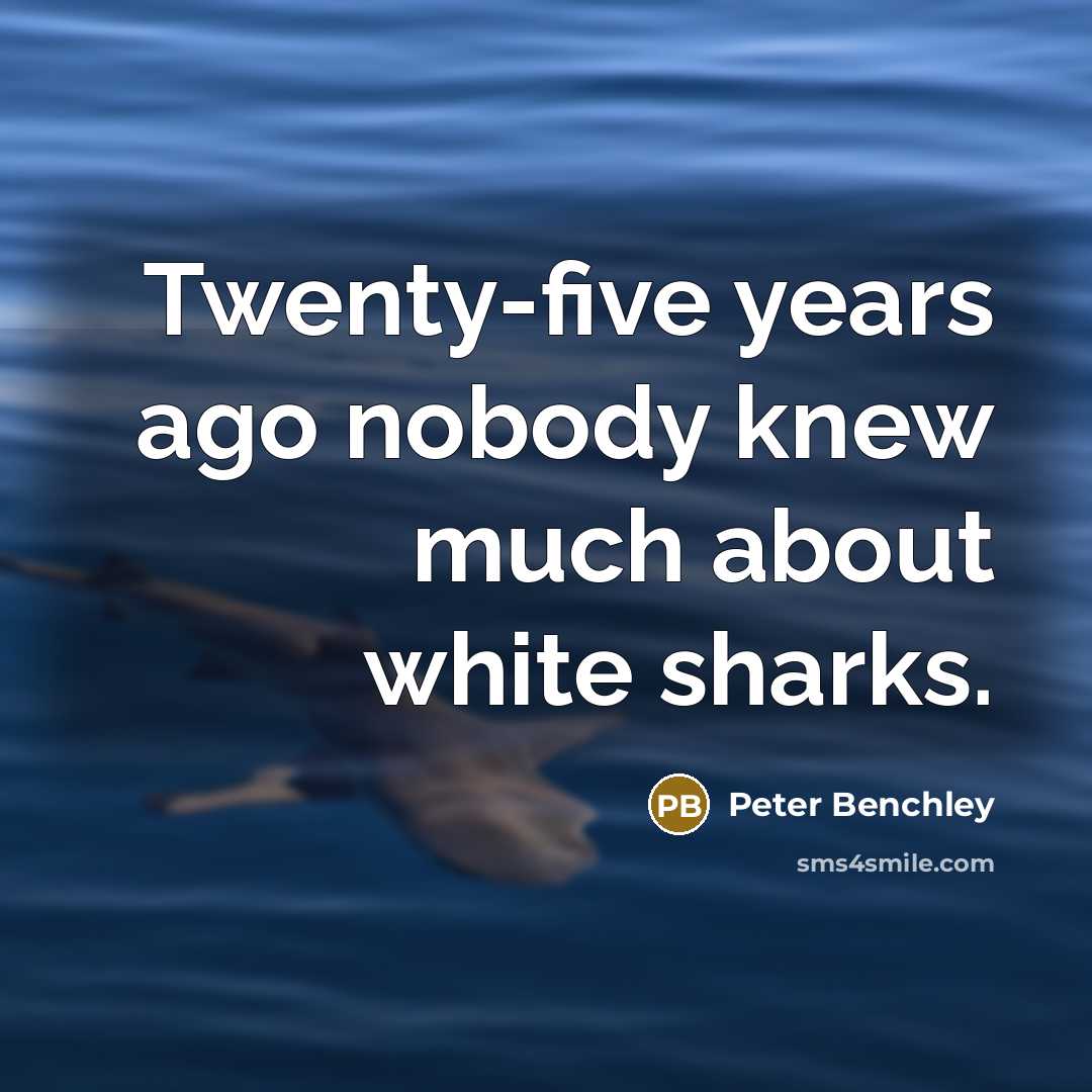 “Twenty-five years ago nobody knew much about white sharks.…” quote by Peter Benchley