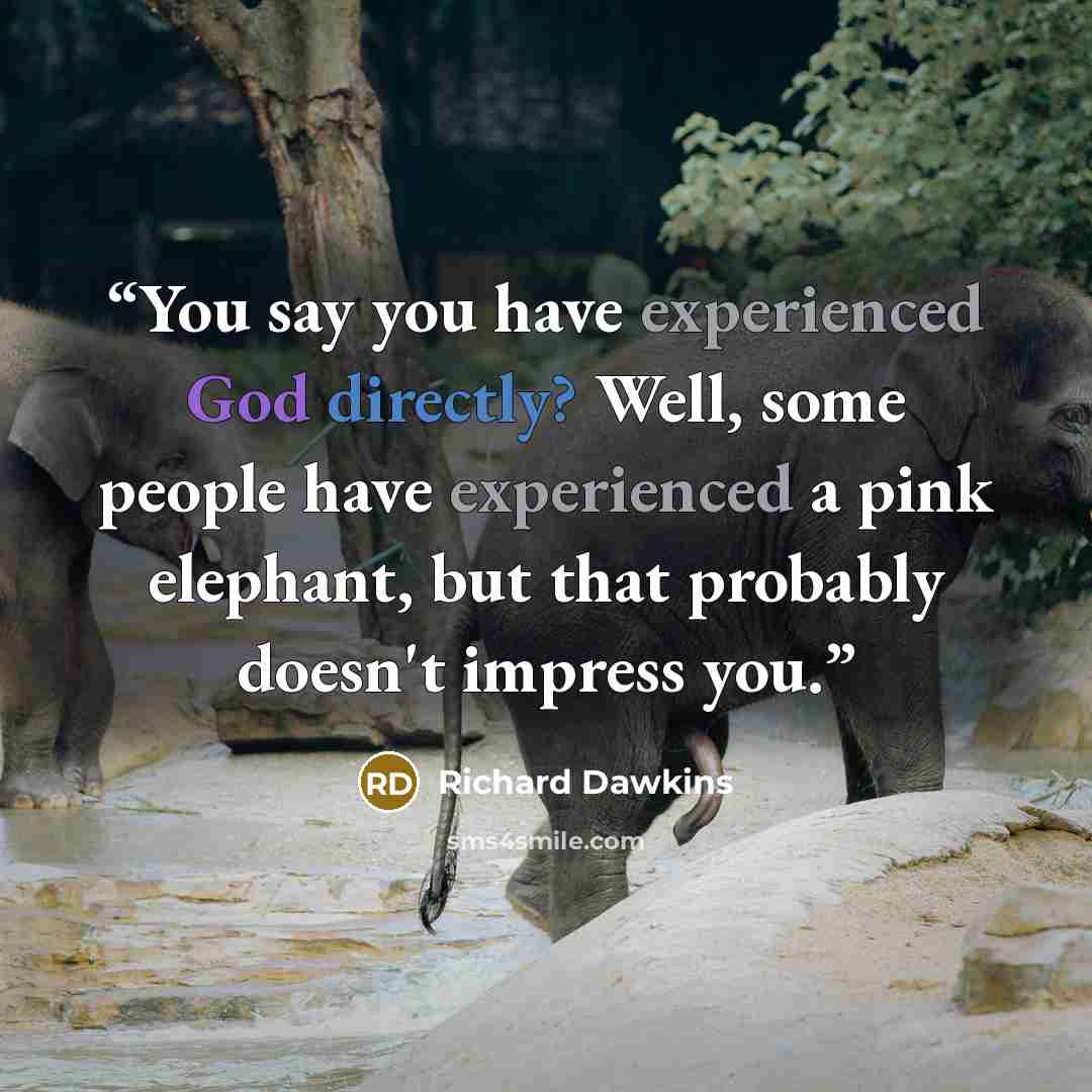 “You say you have experienced God directly? Well, some people have experienced a pink elephant, but that probably doesn't impress you.” quote by Richard Dawkins