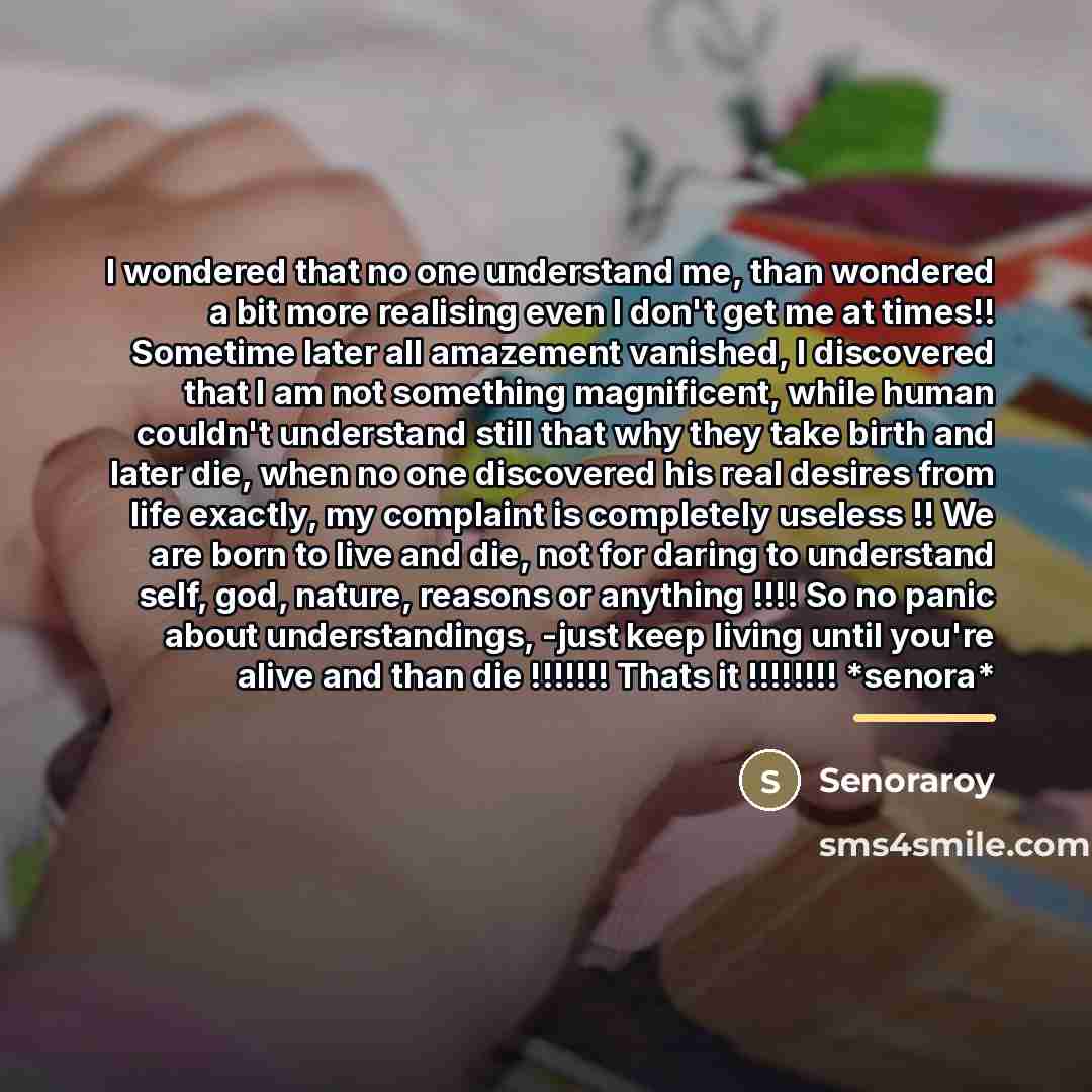 “I wondered that no one understand me, than wondered a…” quote by Senoraroy