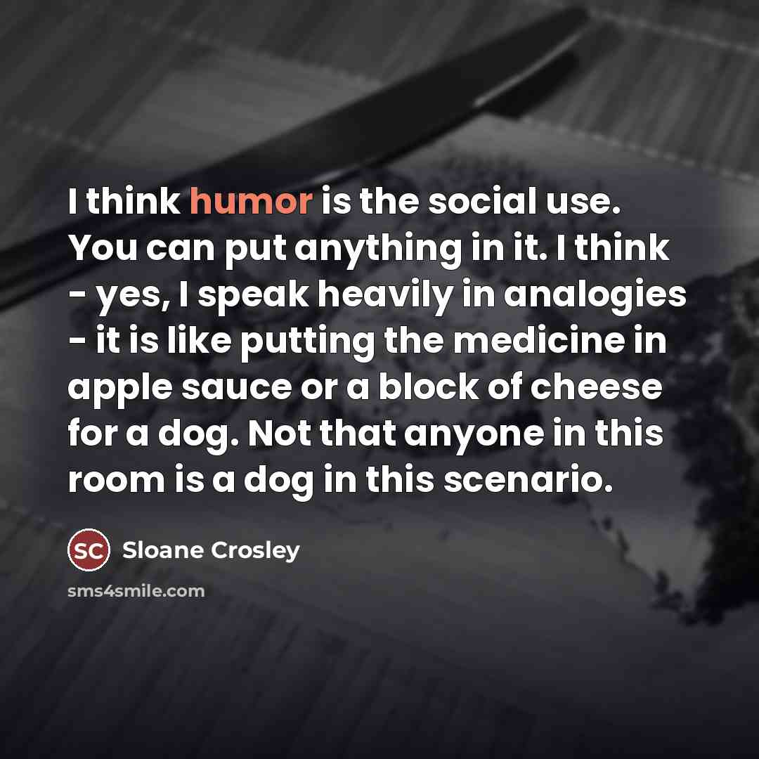“I think humor is the social use. You can put…” quote by Sloane Crosley