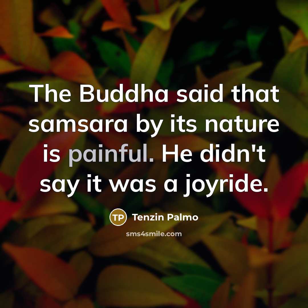 “The Buddha said that samsara by its nature is painful.…” quote by Tenzin Palmo