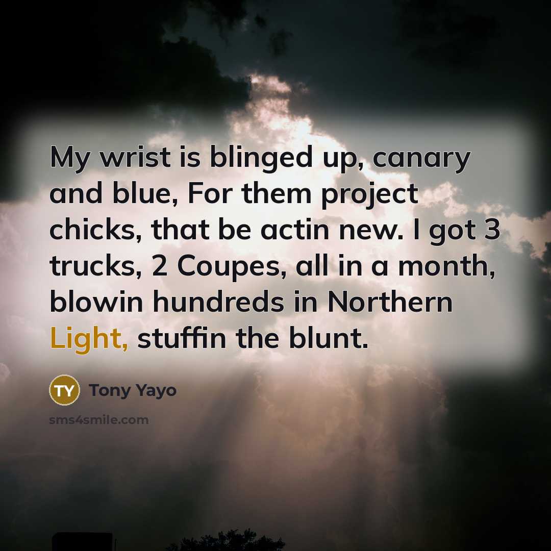 “My wrist is blinged up, canary and blue, For them project chicks, that be actin new. I got 3 trucks, 2 Coupes, all in a month, blowin hundreds in Northern Light, stuffin the blunt.” quote by Tony Yayo