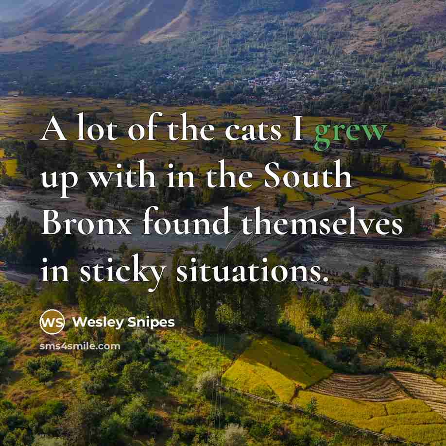 “A lot of the cats I grew up with in…” quote by Wesley Snipes