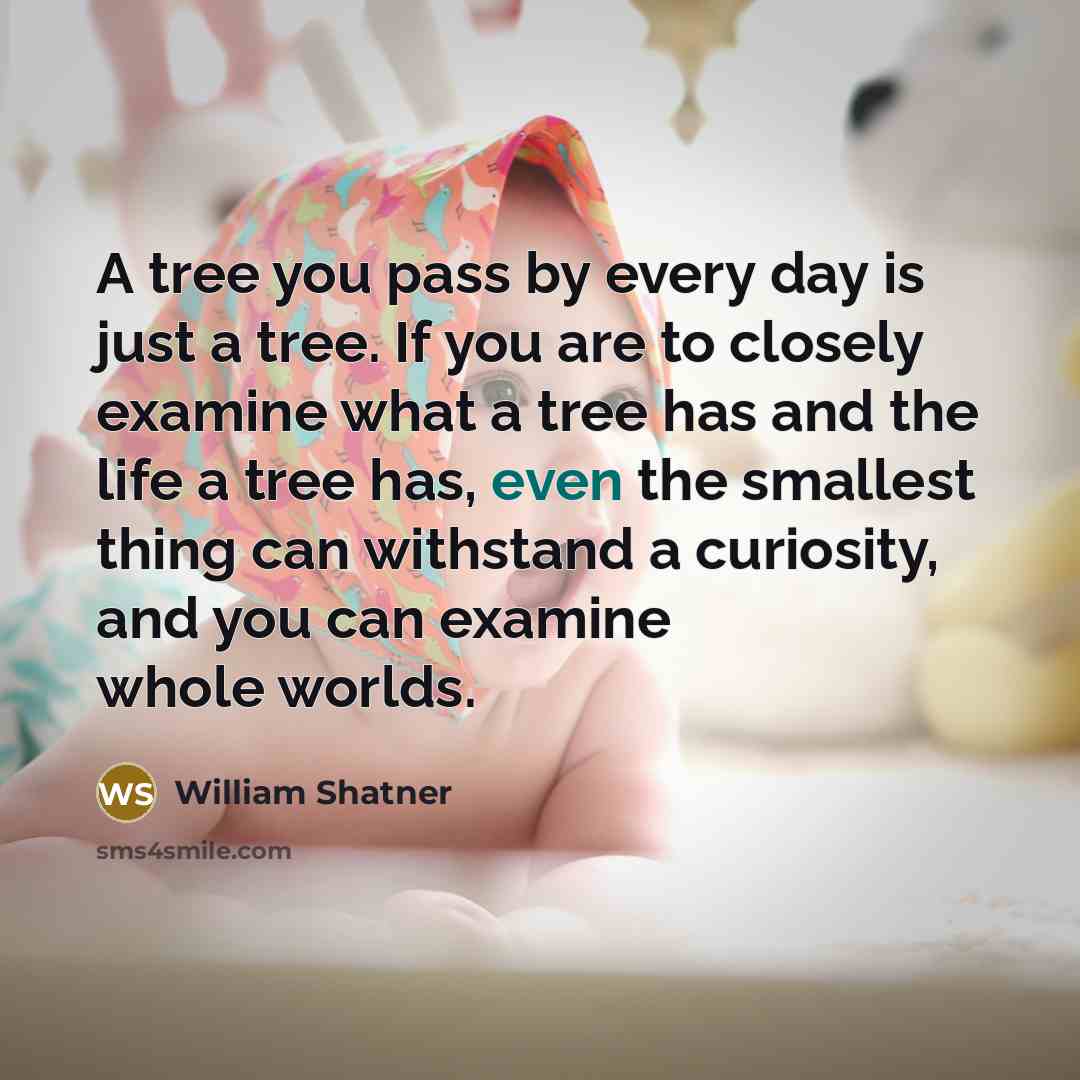 “A tree you pass by every day is just a…” quote by William Shatner