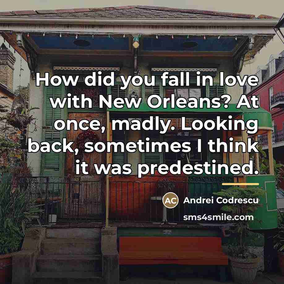 “How did you fall in love with New Orleans? At…” quote by Andrei Codrescu