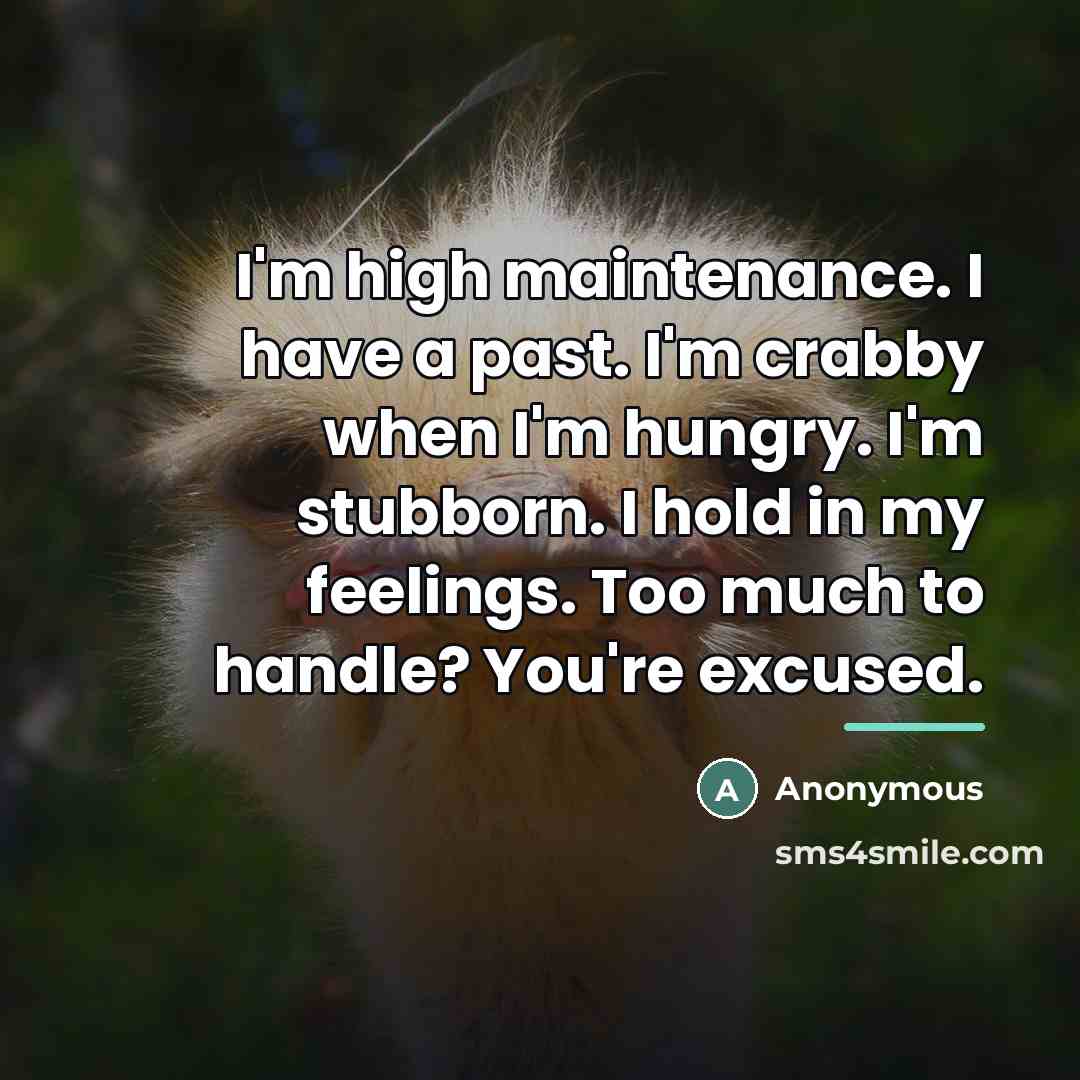 “I'm high maintenance. I have a past. I'm crabby when…” quote by Anonymous