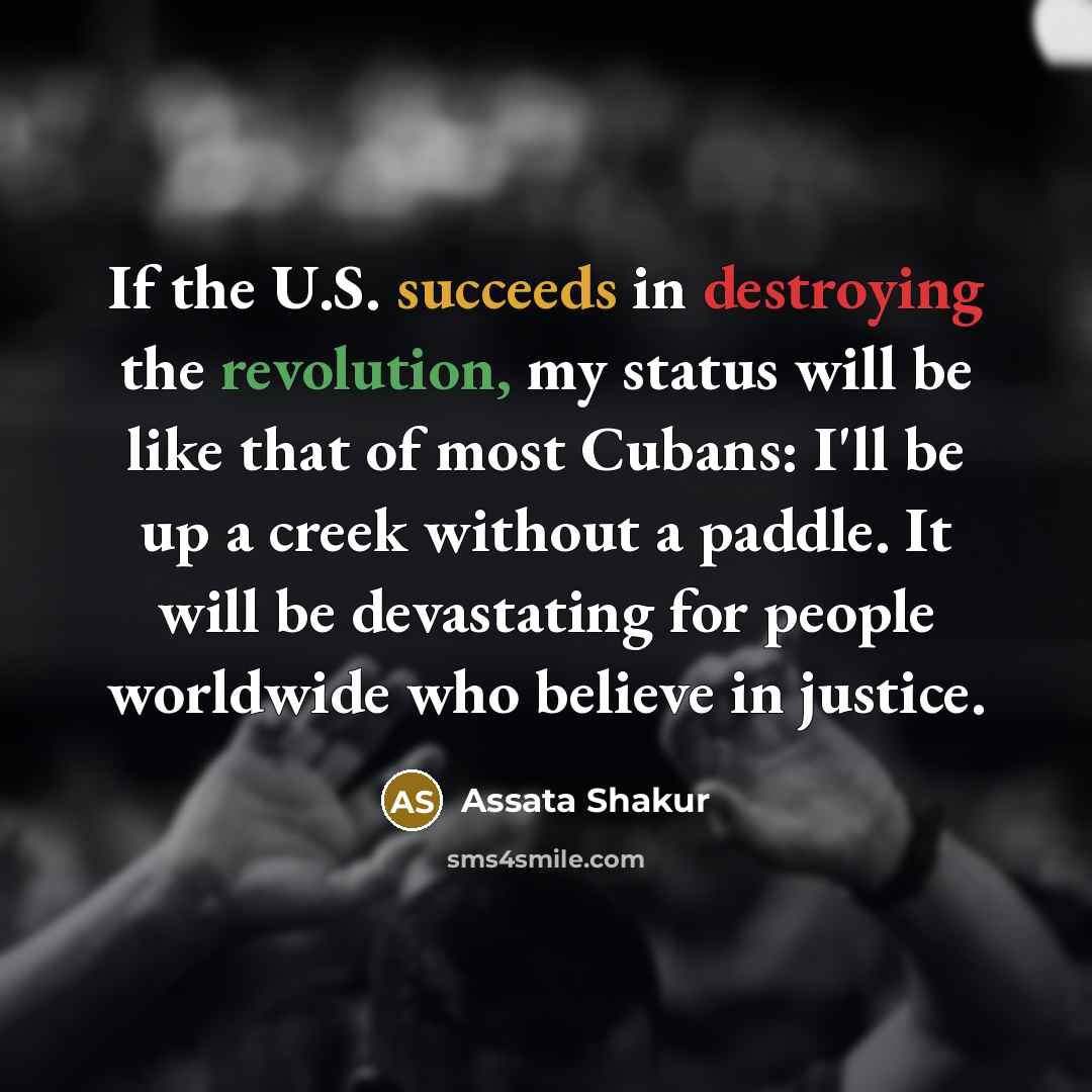 “If the U.S. succeeds in destroying the revolution, my status…” quote by Assata Shakur