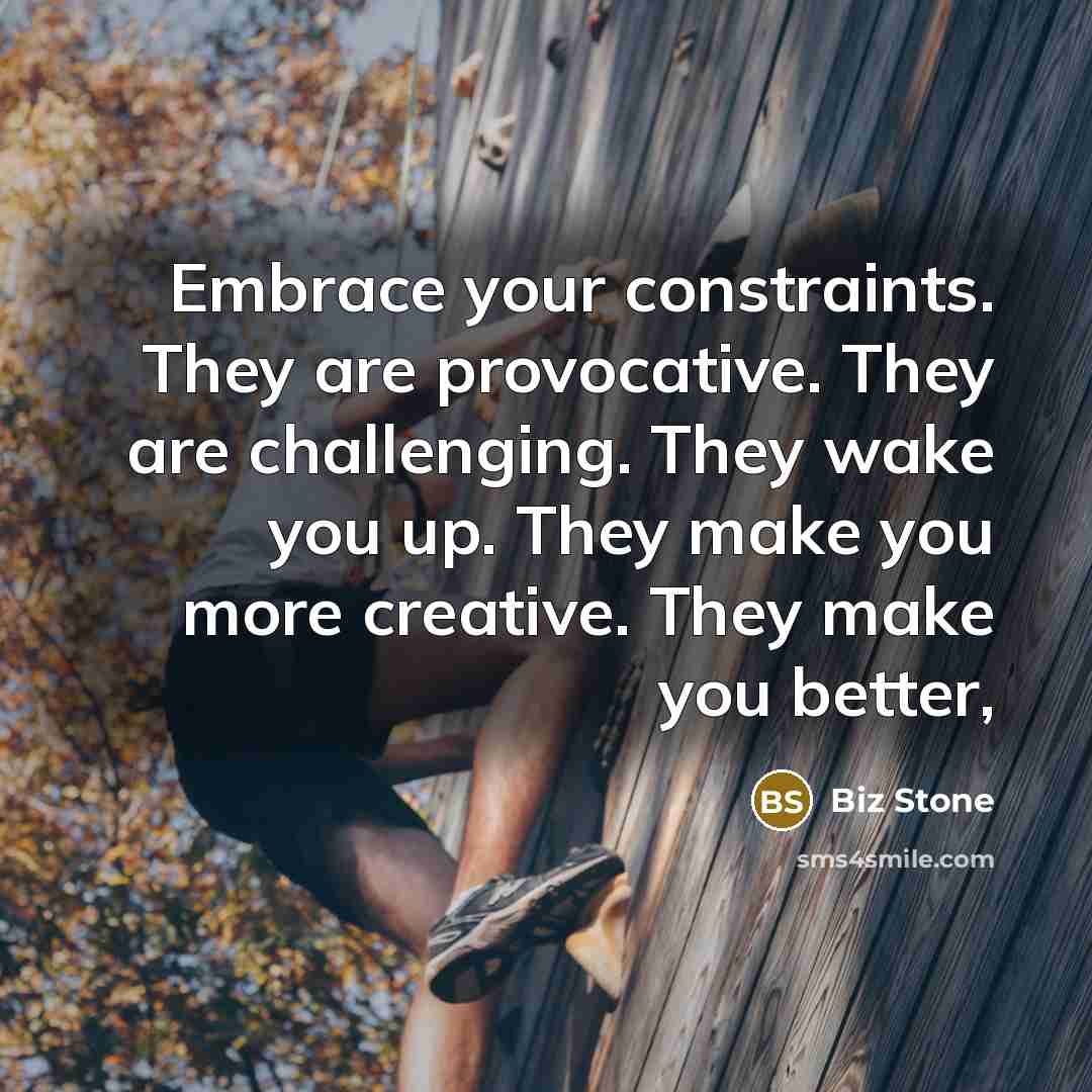 “Embrace your constraints. They are provocative. They are challenging. They…” quote by Biz Stone
