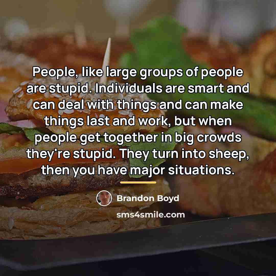“People, like large groups of people are stupid. Individuals are…” quote by Brandon Boyd