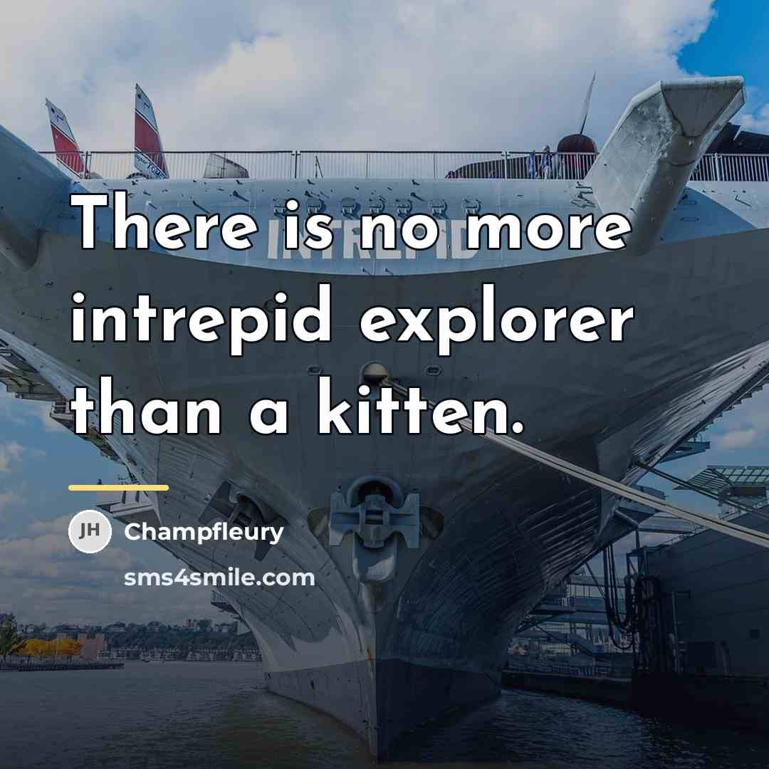 “There is no more intrepid explorer than a kitten.…” quote by Champfleury