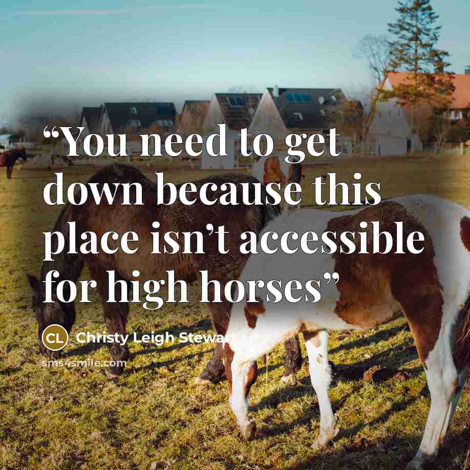 “You need to get down because this place isn’t accessible for high horses” quote by Christy Leigh Stewart