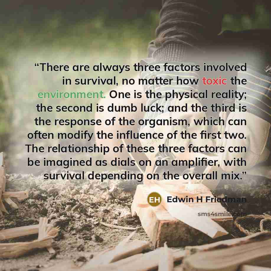 “There are always three factors involved in survival, no matter how toxic the environment. One is the physical reality; the second is dumb luck; and the third is the response of the organism, which can often modify the influence of the first two. The relationship of these three factors can be…” quote by Edwin H Friedman