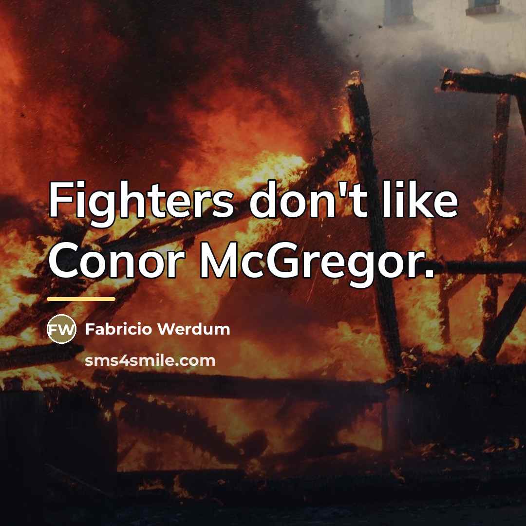 “Fighters don't like Conor McGregor.…” quote by Fabricio Werdum