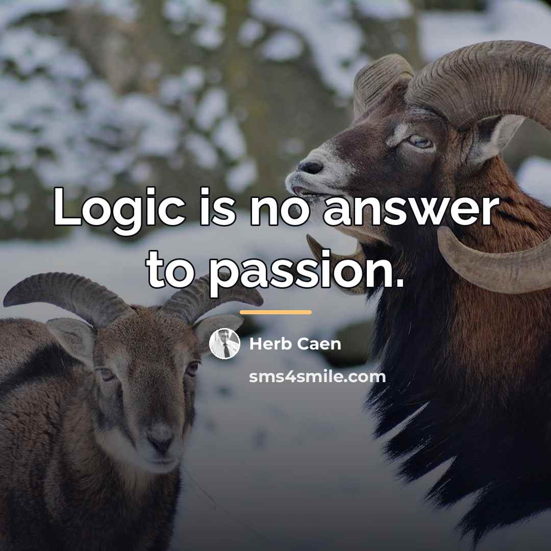 “Logic is no answer to passion.…” quote by Herb Caen