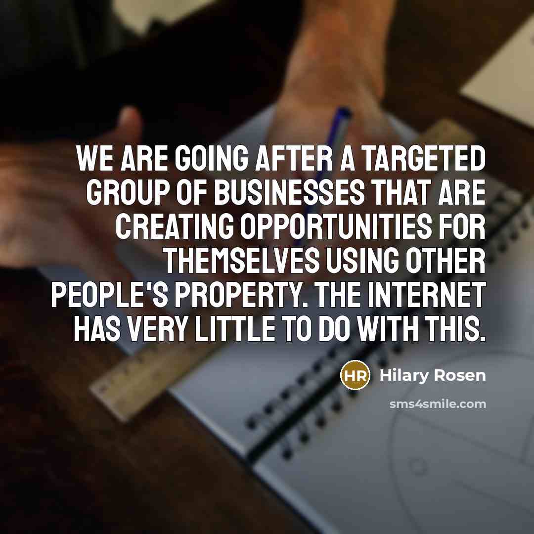 “We are going after a targeted group of businesses that…” quote by Hilary Rosen