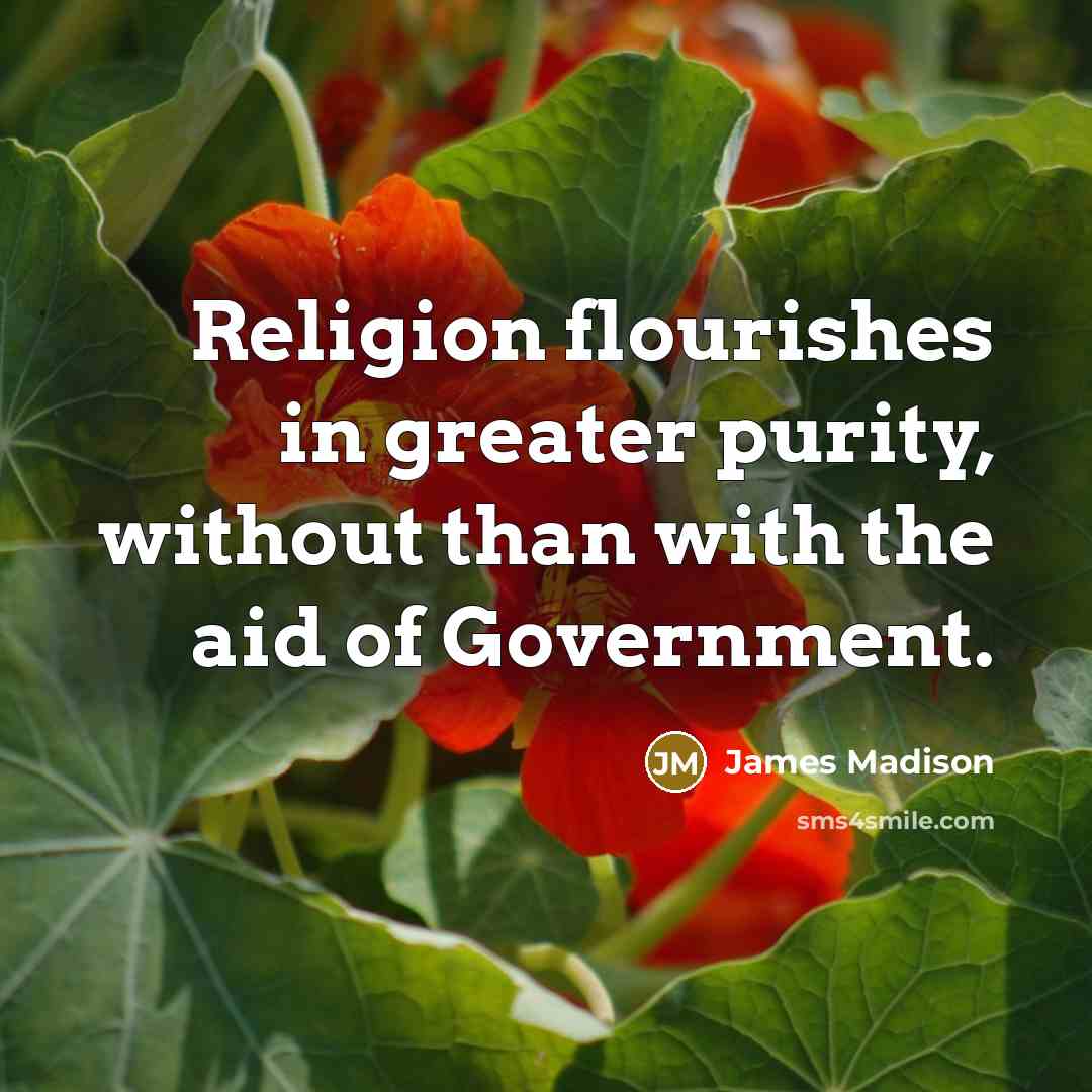 “Religion flourishes in greater purity, without than with the aid…” quote by James Madison