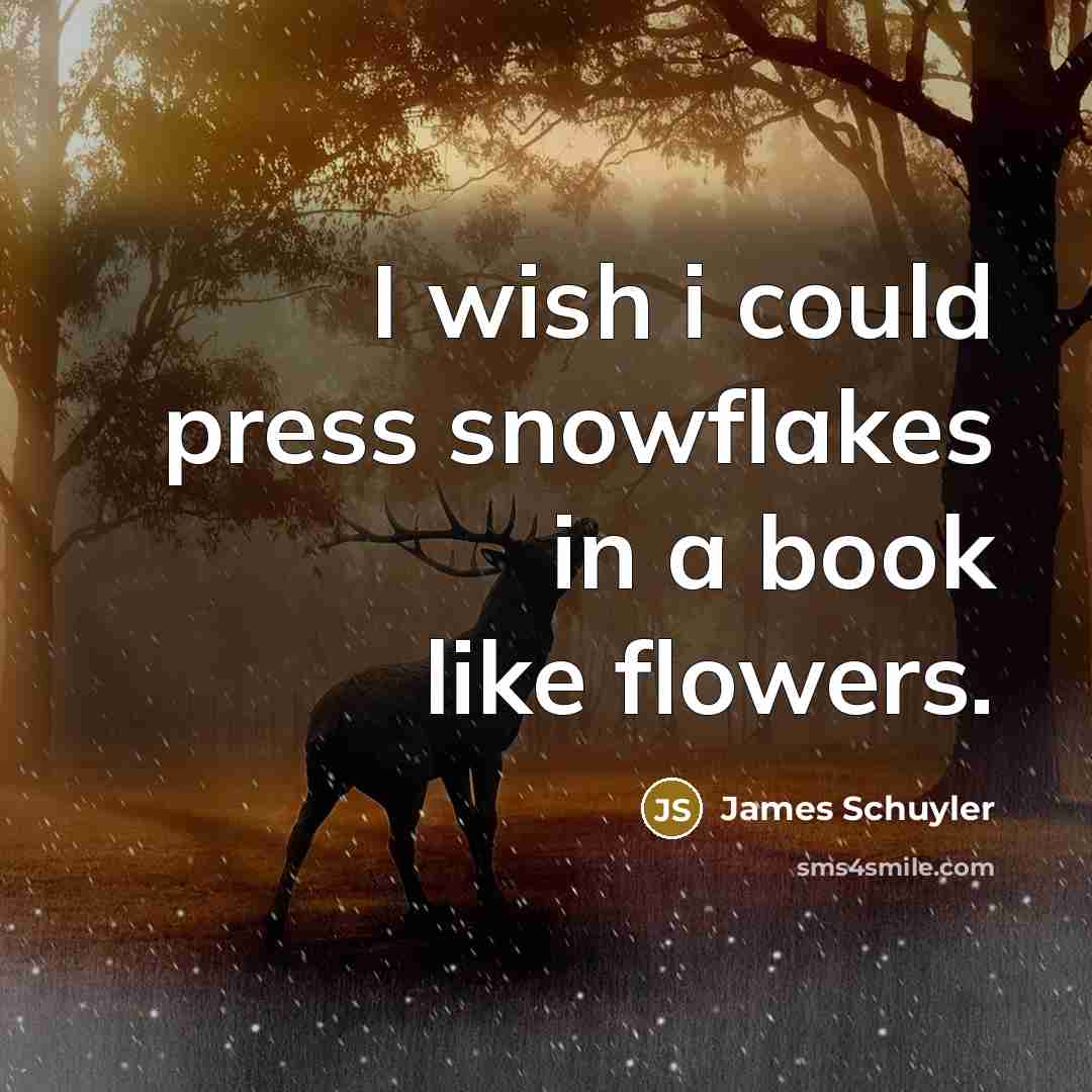 “I wish i could press snowflakes in a book like…” quote by James Schuyler