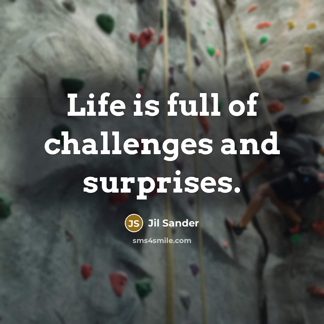 “Life is full of challenges and surprises.…” quote by Jil Sander