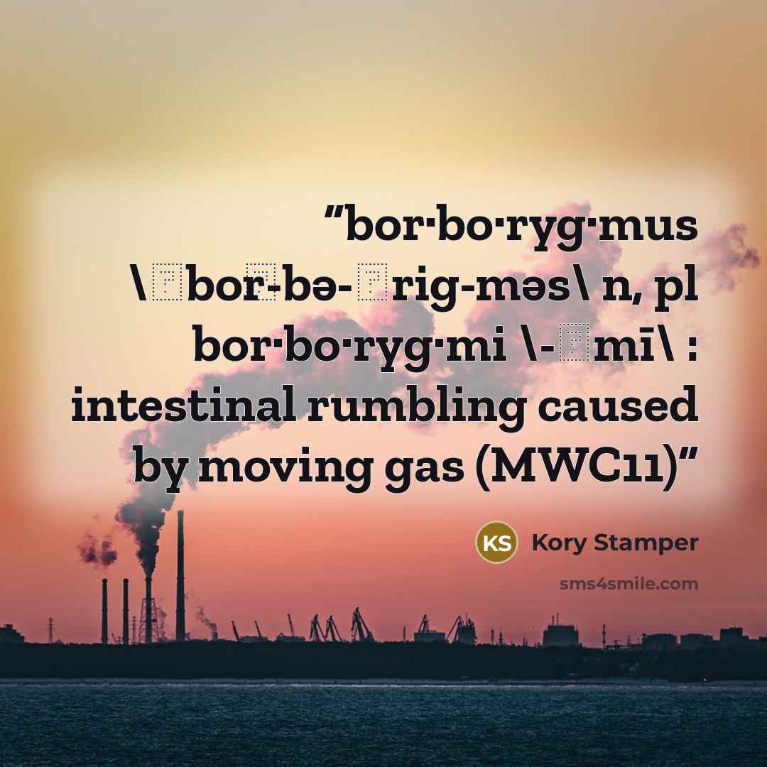 “bor·bo·ryg·mus \ˌbȯr-bə-ˈrig-məs\ n, pl bor·bo·ryg·mi \-ˌmī\ : intestinal rumbling caused by moving gas (MWC11)” quote by Kory Stamper