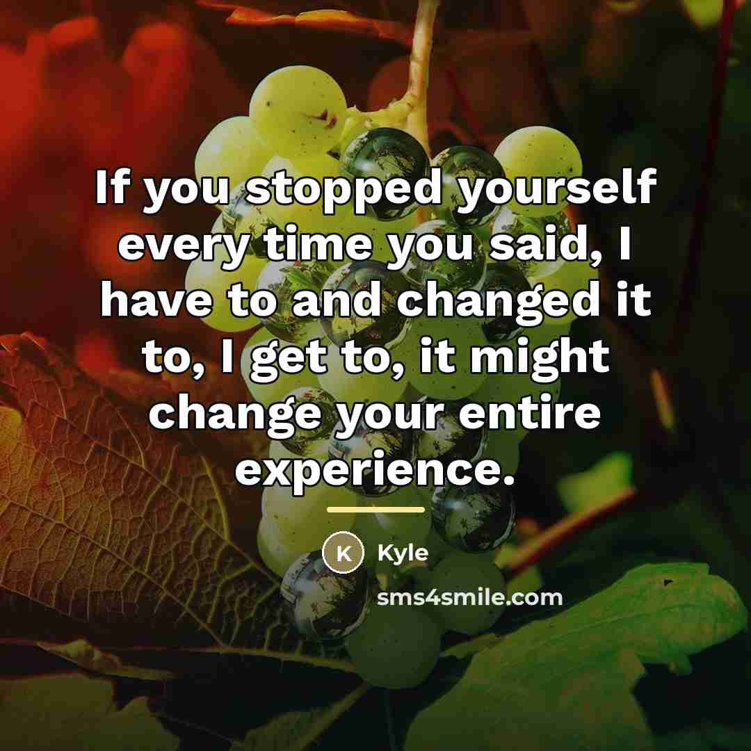 “If you stopped yourself every time you said, I have…” quote by Kyle