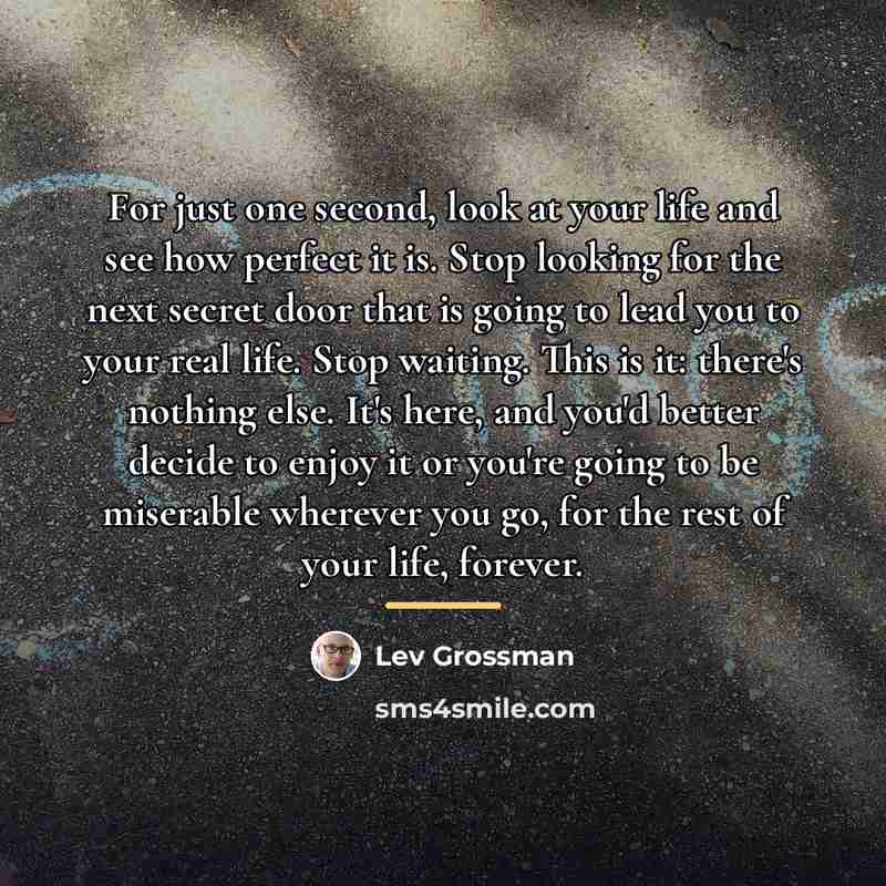 “For just one second, look at your life and see…” quote by Lev Grossman