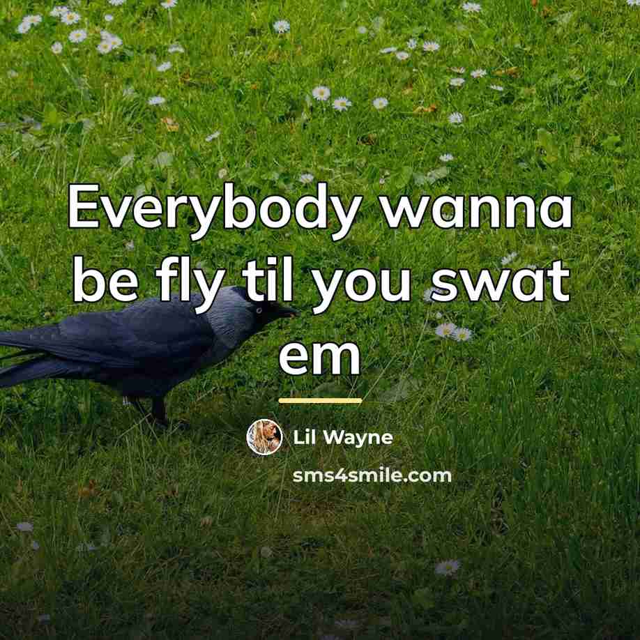 “Everybody wanna be fly til you swat em…” quote by Lil Wayne