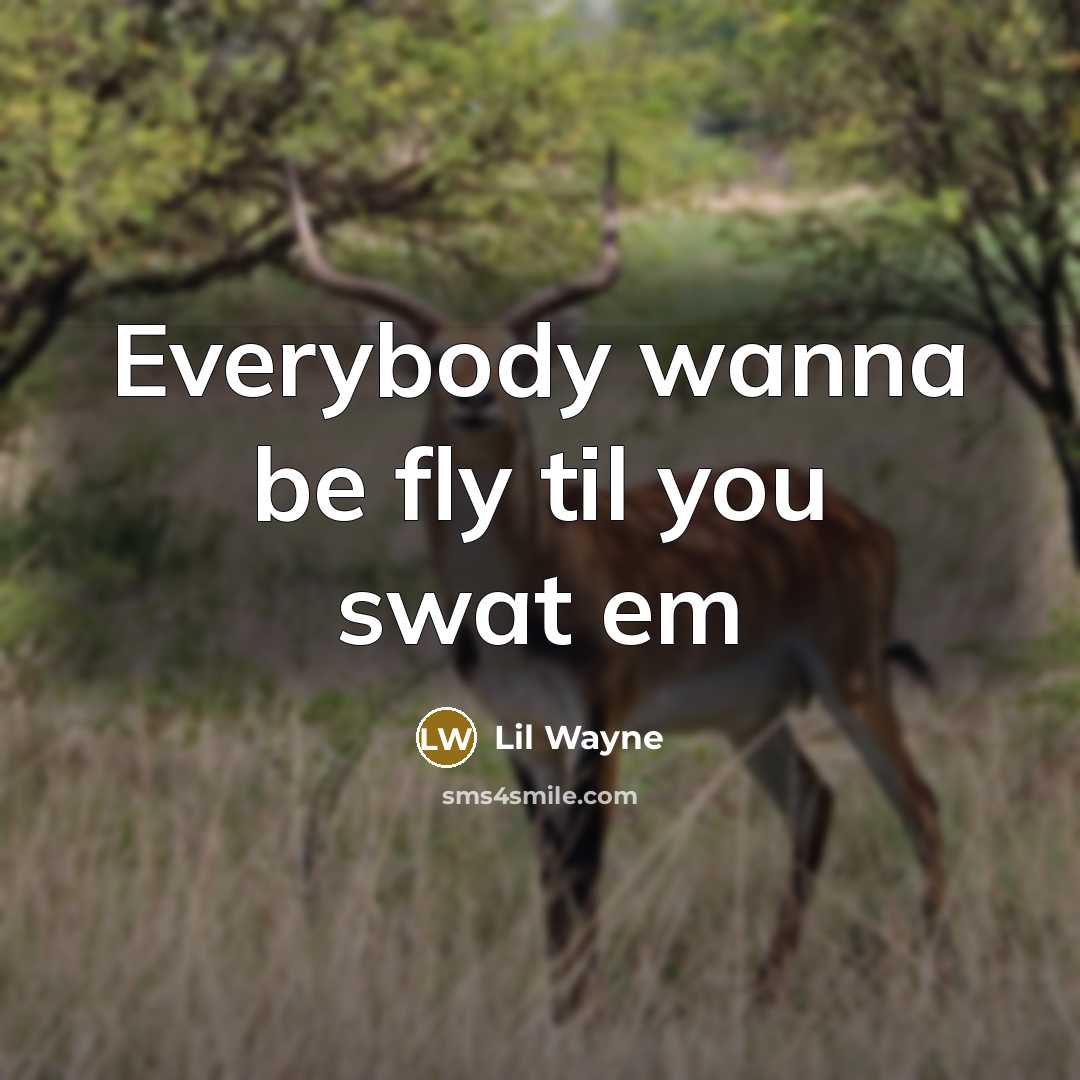 “Everybody wanna be fly til you swat em” quote by Lil Wayne