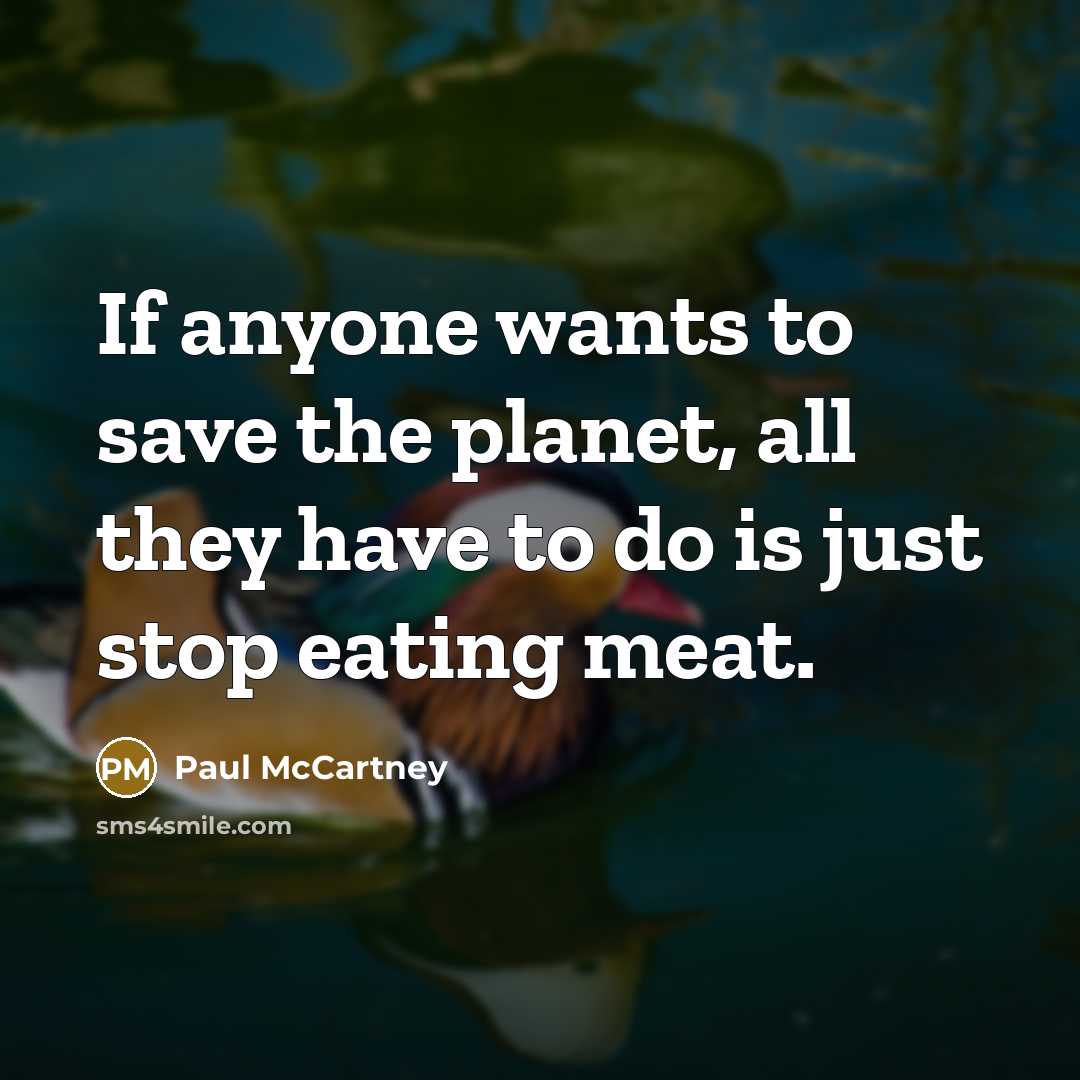 “If anyone wants to save the planet, all they have…” quote by Paul McCartney