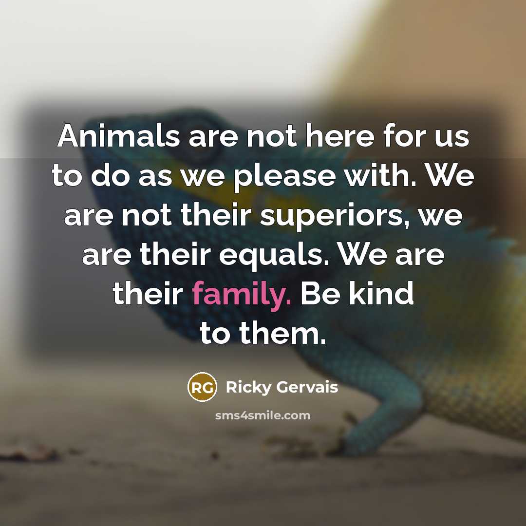 “Animals are not here for us to do as we…” quote by Ricky Gervais