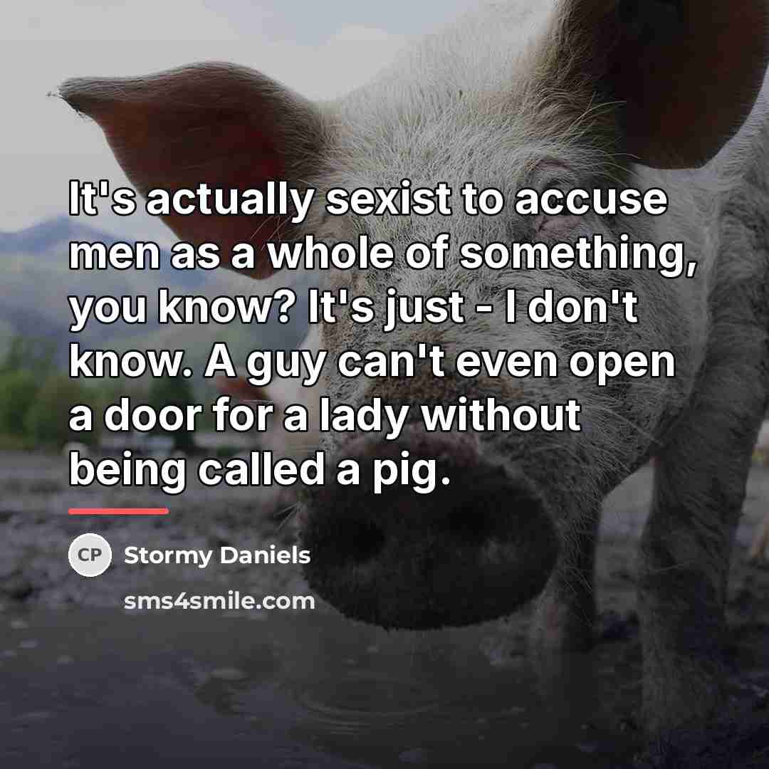 “It's actually sexist to accuse men as a whole of…” quote by Stormy Daniels