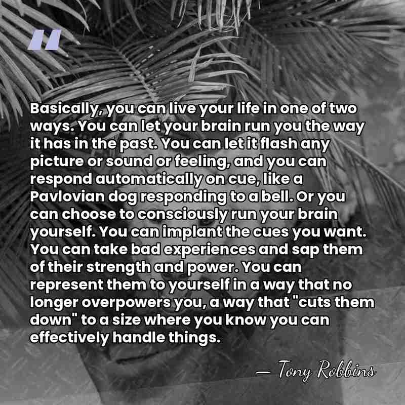 Basically, you can live your life in one of two ways. You&hellip; - Tony Robbins