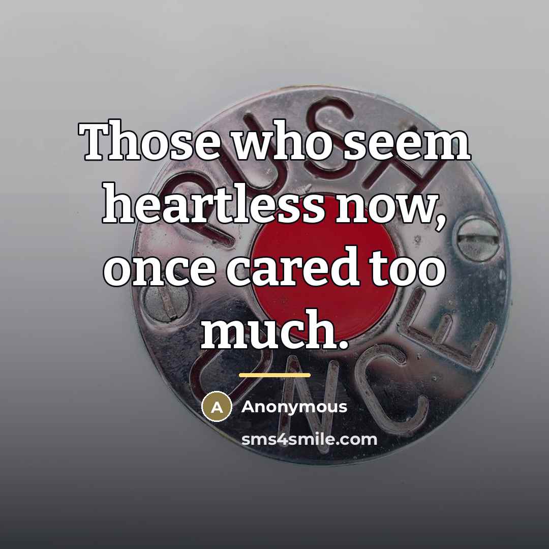 “Those who seem heartless now, once cared too much.…” quote by Anonymous
